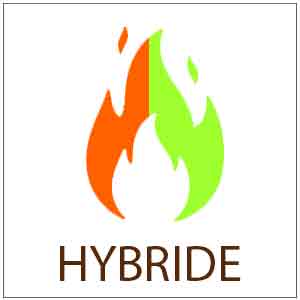 Poêles Hybride bois et granulés