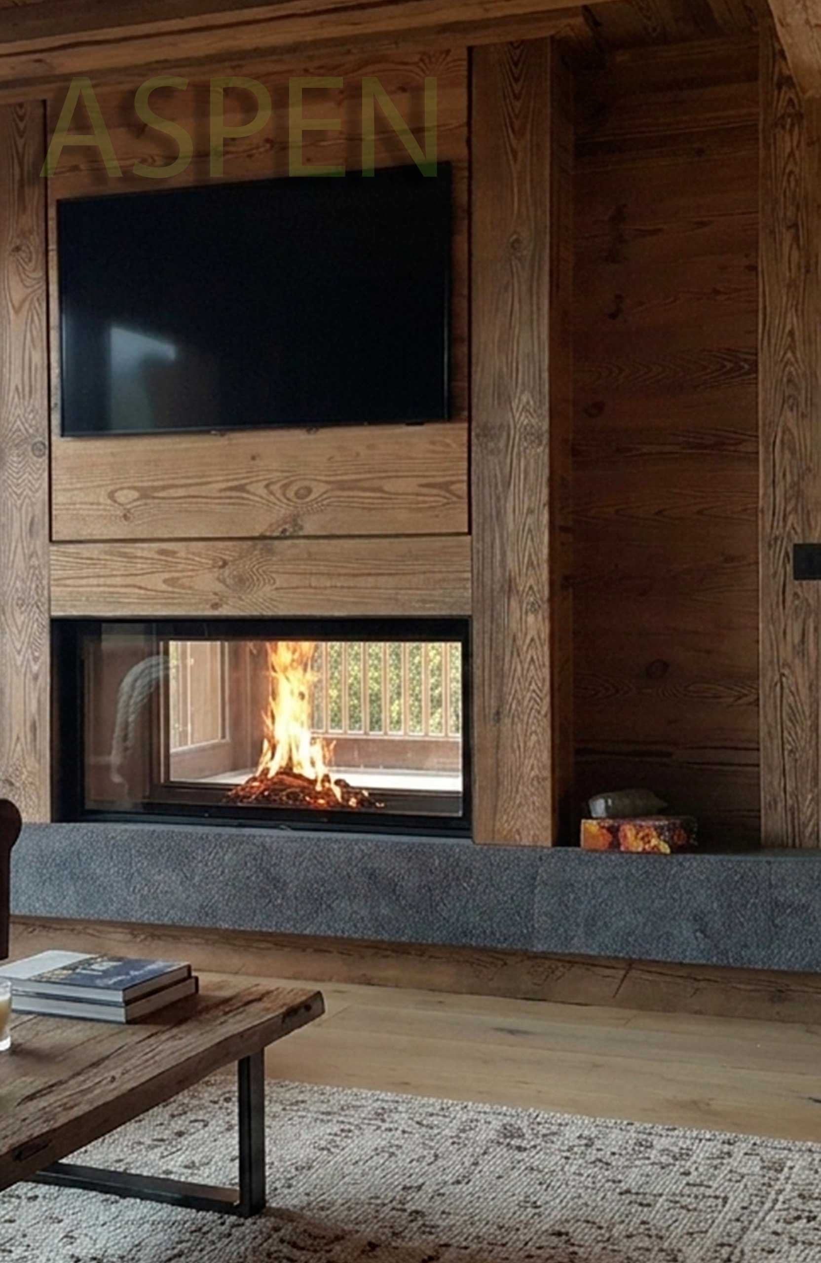  cheminee au bois insert schmid haute savoie aspen insert double face